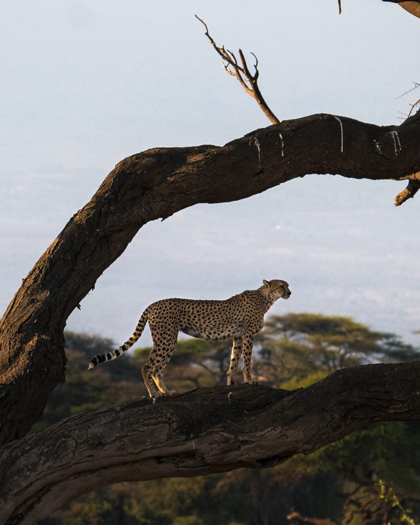 fotografo de paisajes organiza safari fotografico